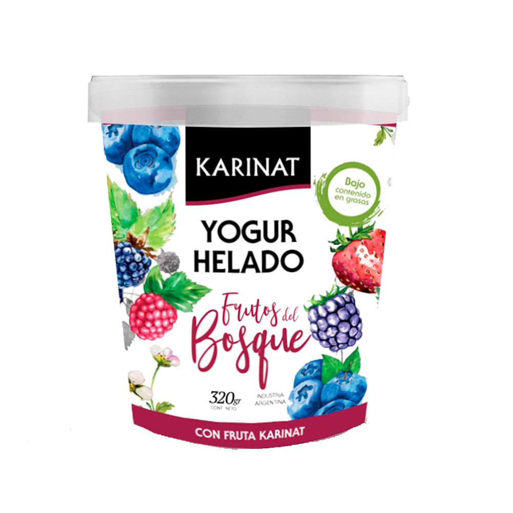 Yogur Helado Sabor Frutos del Bosque 320 Grs Karinat