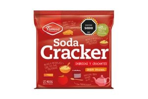 Galleta Famosa Soda CRACKER 420 g