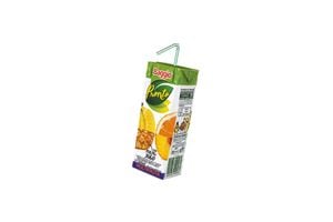 Jugo BAGGIO Multifrutal 200 ml